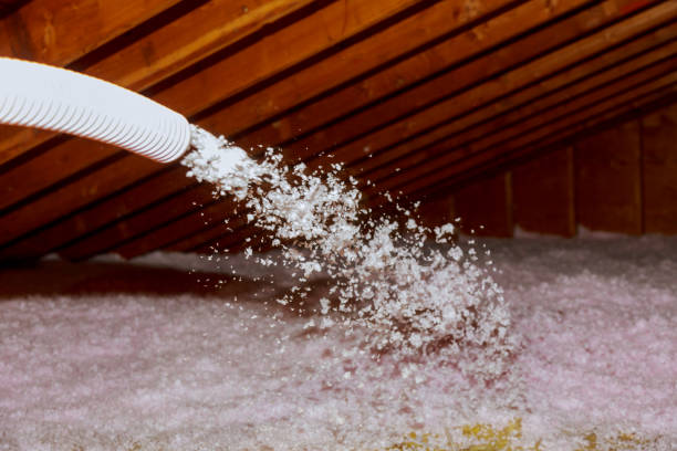 Types of Insulation We Offer in Lower Lake, CA