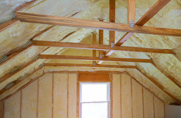 Best Spray Foam Insulation in Lower Lake, CA