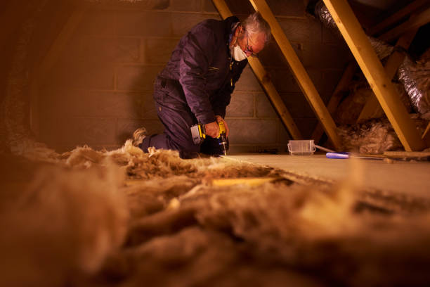 Best Geographic-Specific Insulation Services in Lower Lake, CA